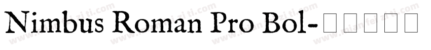 Nimbus Roman Pro Bol字体转换